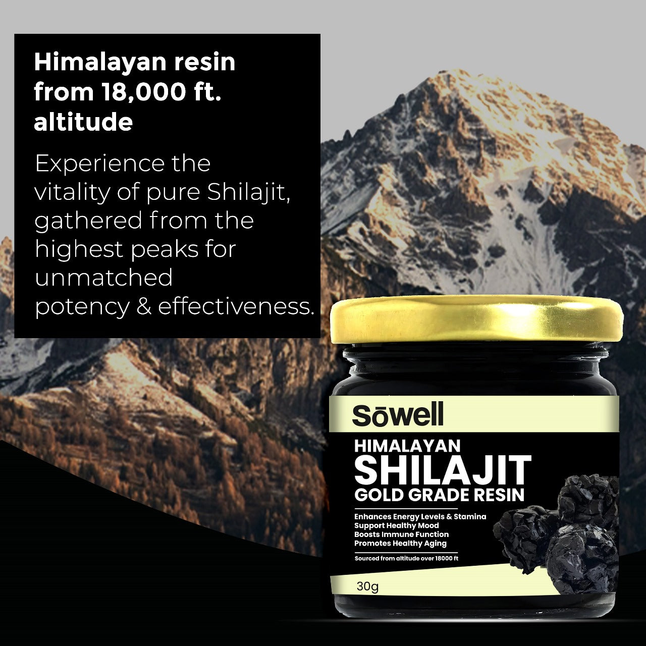 Himalayan Shilajit Resin