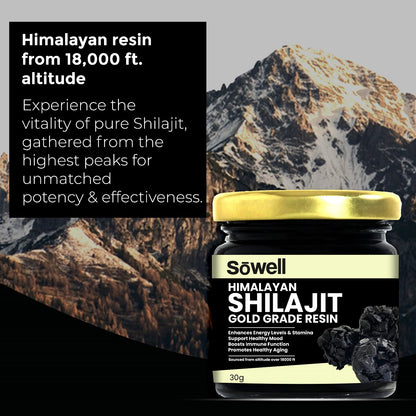 Himalayan Shilajit Resin