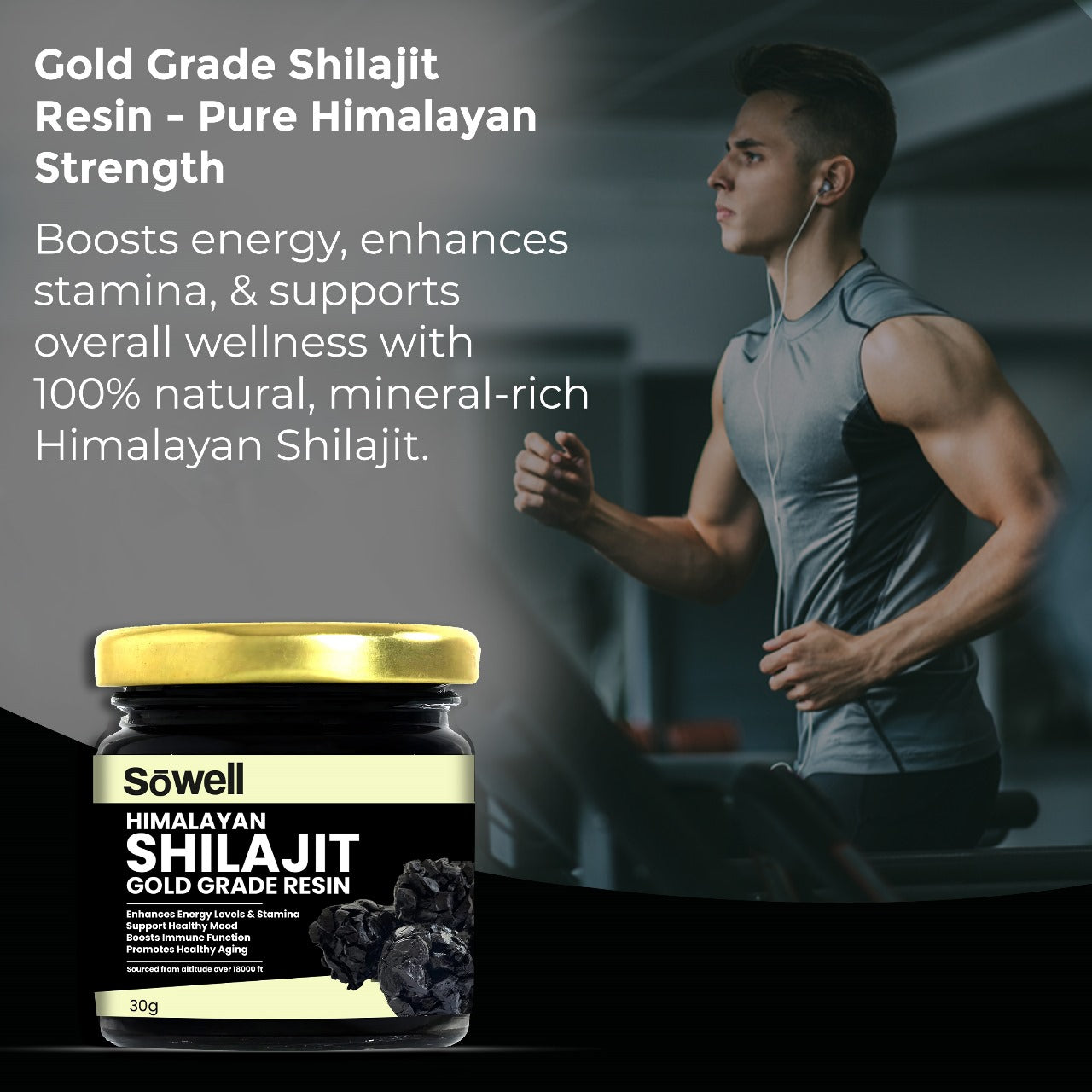 Himalayan Shilajit Resin