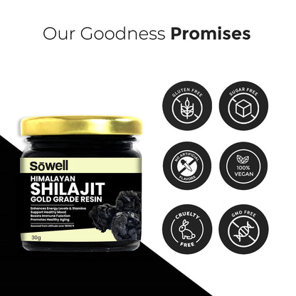 Himalayan Shilajit Resin